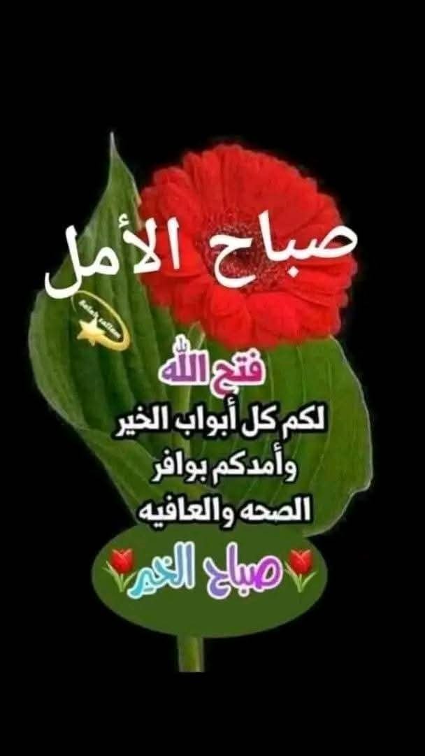 MsAlbny's tweet photo. @belalhannout066 https://t.co/nzmDJsk7tz