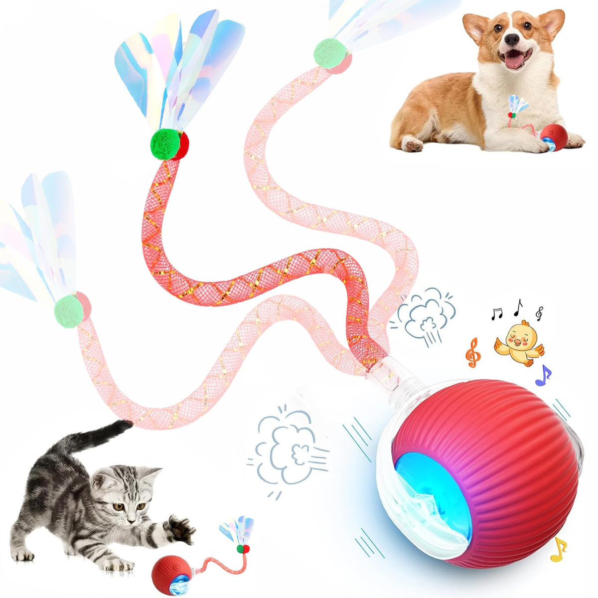 Folott_com's tweet photo. Chase, play, repeat – The interactive ball your pet will love! https://t.co/pkavOtv1bs