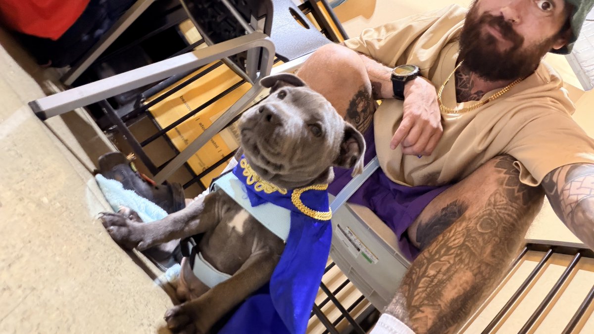 NotRelevantDad's tweet photo. Puppy School ✅ Echo looks so wise!! https://t.co/WIu3uLhSMI