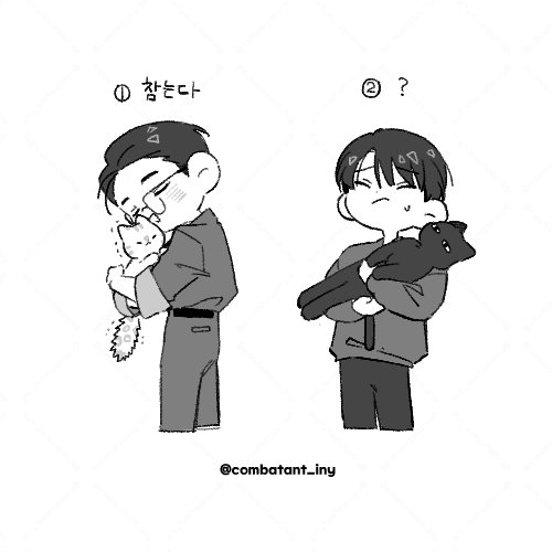 combatant_iny's tweet photo. 안기기 싫은 고양이 https://t.co/ZHJ41CSbdE