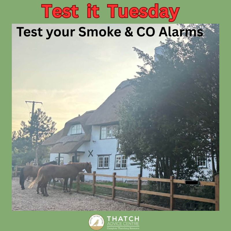 ThatchAdvice's tweet photo. #TestitTuesday #PresstoTest
The New Forest ponies are out to remind you to Test your Smoke and CO Alarms.
@NewForestNPA https://t.co/bJvVJBlqnI