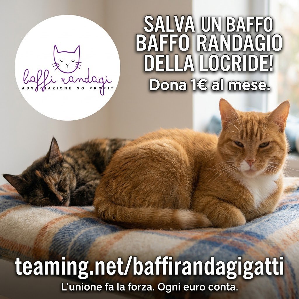 RandagiBaffi's tweet photo. Servono solo 1€ al mese e 30 secondi per salvare i gatti della Locride🐾
Meno di un caffè per te, la sopravvivenza per loro (pappe,cure e sterilizzazioni) 
Unisci il tuo euro al nostro gruppo Teaming qui👇
https://t.co/p35wxSw5bh
Insieme facciamo la differenza. RT per aiutarci! https://t.co/zdepAvGkEw