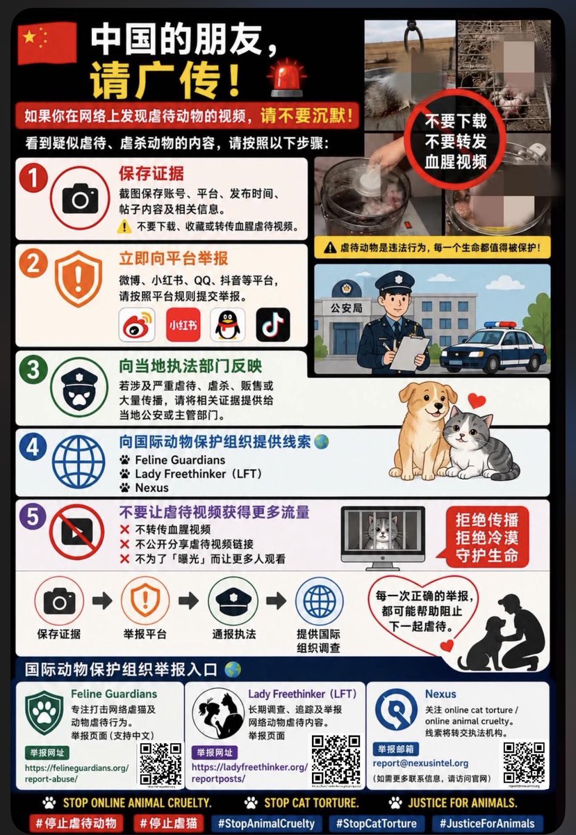 PeiLiu570497's tweet photo. 亲爱的内地善良人士：

在哔哩哔哩、抖音、TikTok 等平台上，仍然可以看到许多虐待动物的视频。

很多人可能会发现，单独向平台举��，往往很难看到明显的处理结果。但即使如此，向平台举报仍然是第一步，也是非常重要的一步。

除此之���，請同步向国际动物保护组织提交举报，效果会更好，也能让这些虐待动物的案件有机会被更多国际组织关注。

因此，想把这个重要的方法分享给所有愿意保护动物的朋友。

📌 建议大家按照以下步骤进行：

1️⃣ 先向视频所在的平台进行举报
2️⃣ 保存视频、截图、账号名称、视频链接等相关证据
3️⃣ 再将案件提交给国际动物保护组织

不要因为一次举报没有结果，就选择放弃。

每一次举报、每一份证据、每一次发声，都可能让更多人看见这些动物正在遭受的苦难。

🙏 如果你是中国内地的朋友，也请将这些重要信息分享出去，让更多愿意保护动物的人知道：

我们不是无能为力，我们可以用正确的方法，为它们发声。

为它们发声，从一次举报开始。
#中國虐待動物
#中國動物保護
#反對虐待動物
#停止虐待動物
#拒絕動物虐待
#保護動物
#為動物發聲