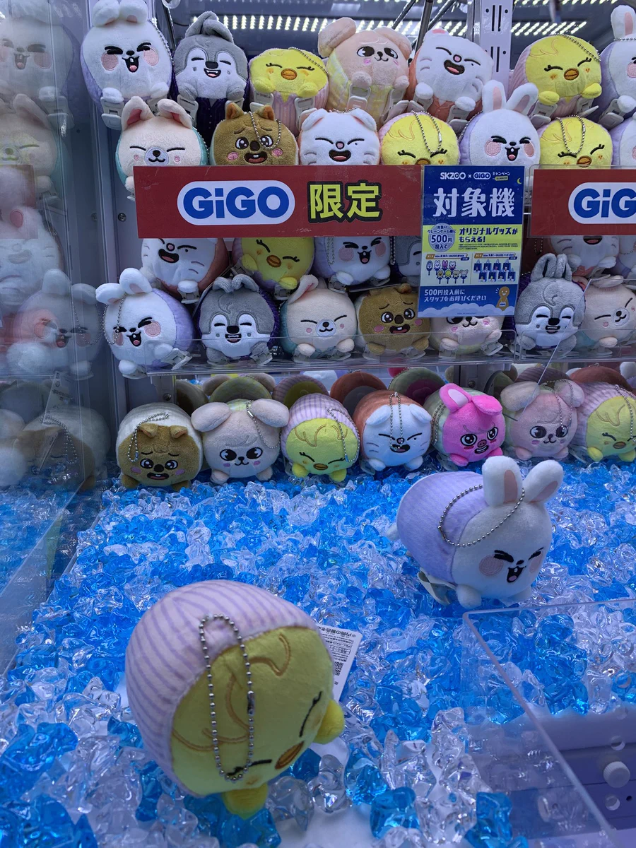 GiGO 会津若松 on X: 