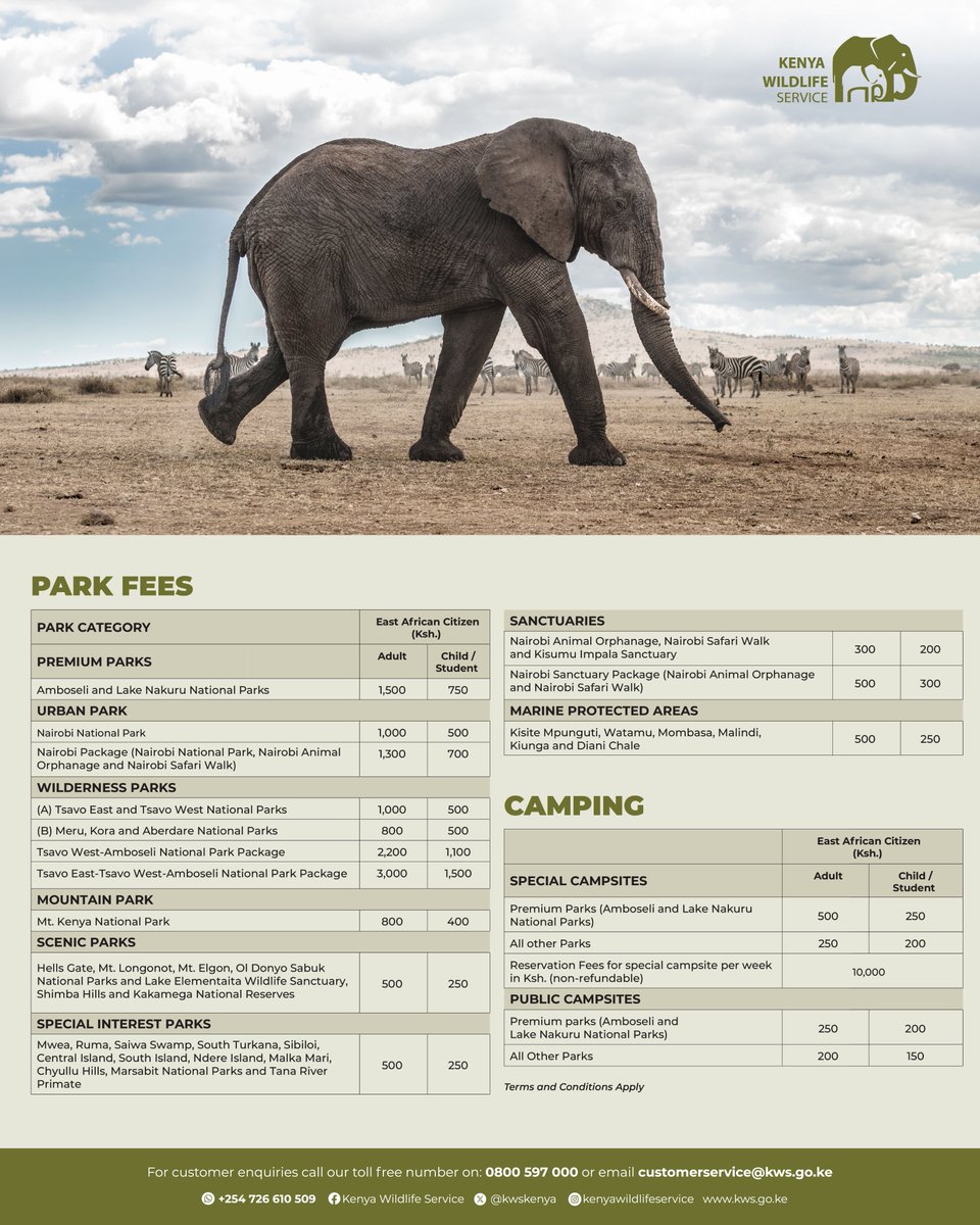 KWSKenya's tweet photo. Juu sisi ni watu wa kusema na kutenda, here are the park fees and camping ground charges for East African citizens. 

Plan your next visit with your friends, family, or loved ones and experience our natural heritage 👉🏽 https://t.co/Oo1ZGWvN16 

#ThisIsOurWild #ExploreExperienceConserve