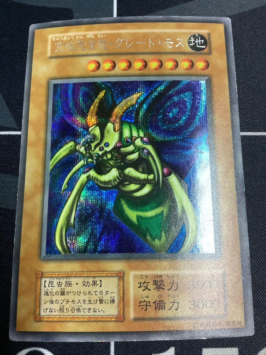 ENNDAL_TCG on X: 