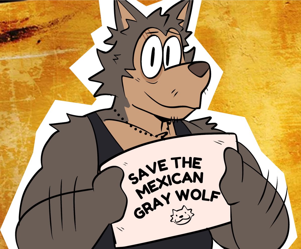 Janjauwu's tweet photo. Did you know Mexican Legoshi is based on the Mexican gray wolf? 

This endangered wolf is slowly recovering, but Trump is pushing to weaken its protections and make lethal removal easier.

Please help protect them! ❤️

Learn more / donate:
https://t.co/6SkpS3DZ2O
https://t.co/Dx0wxKeC0X