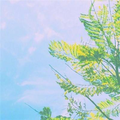 maahi_modi's tweet photo. 💐 💎 💦 Baked sablés sab léd, butters butter ing butter. Shorts short, sands sanded. https://t.co/TmyfVMNyIi