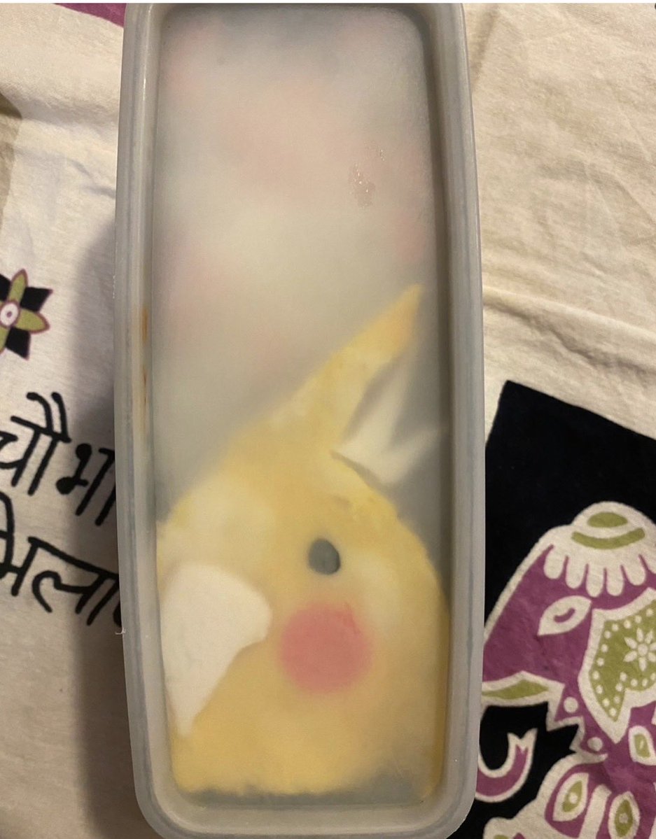 YTmkYesGUwQBQEv's tweet photo. オカメインコ https://t.co/7rg7jR3Vuo