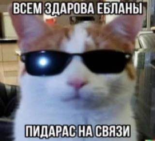 safwwdd's tweet photo. готе дружить https://t.co/l5jum9hl8m