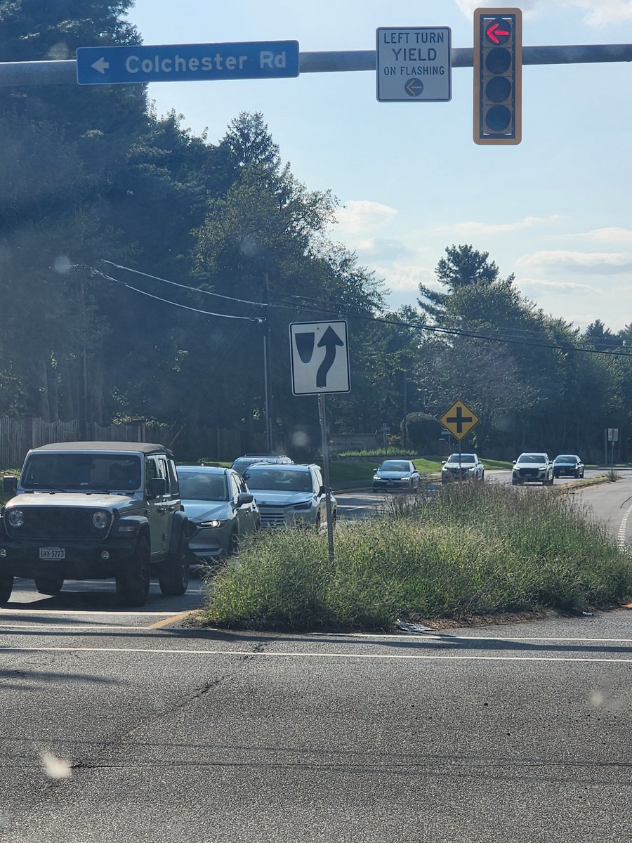 mdeagazio2's tweet photo. @trackingcosts And none of that money goes to keeping Fairfax County kept up.  This is Braddock Rd near Centreville 4 weeks ago, closer to rt 28 the grass in the median is easily 4.5 ft tall now - can't even see cars on the other side https://t.co/rdOqx6FBaF