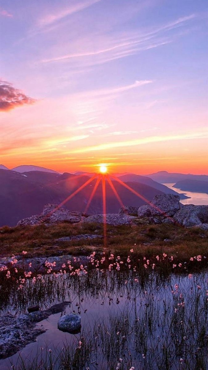 JamesHill9jf's tweet photo. chân kê bếp gas, tủ lạnh, máy giặt #chankedanang #truonggiang67 https://t.co/x0PXxjhVh8