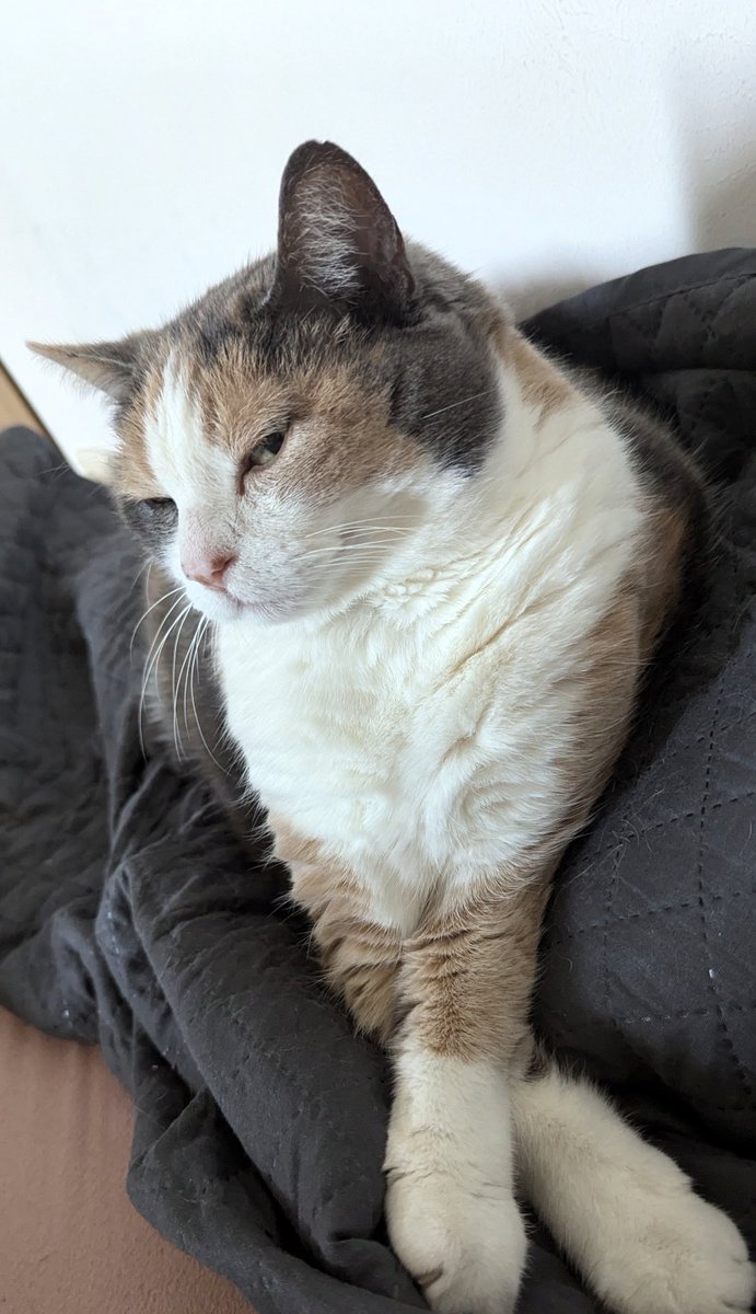 TESTOMASCHINE3's tweet photo. why she sideeye https://t.co/RSjHEqCf2D