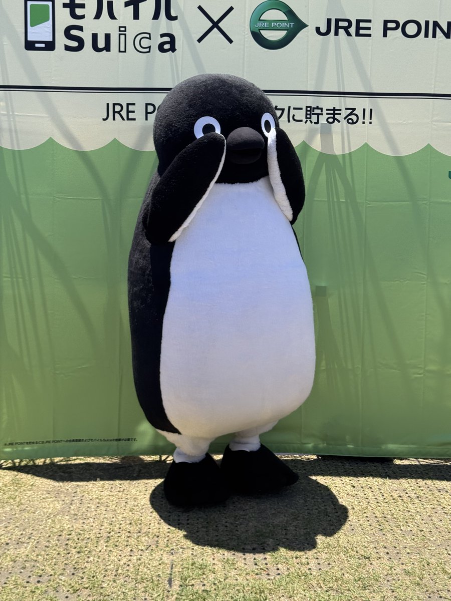 tori_s_h_rx7F's tweet photo. 新キャラ選考始まったけどSuicaはずっと
ペンギンがいい🥺🥺🐧 https://t.co/w4ixwiXKo1