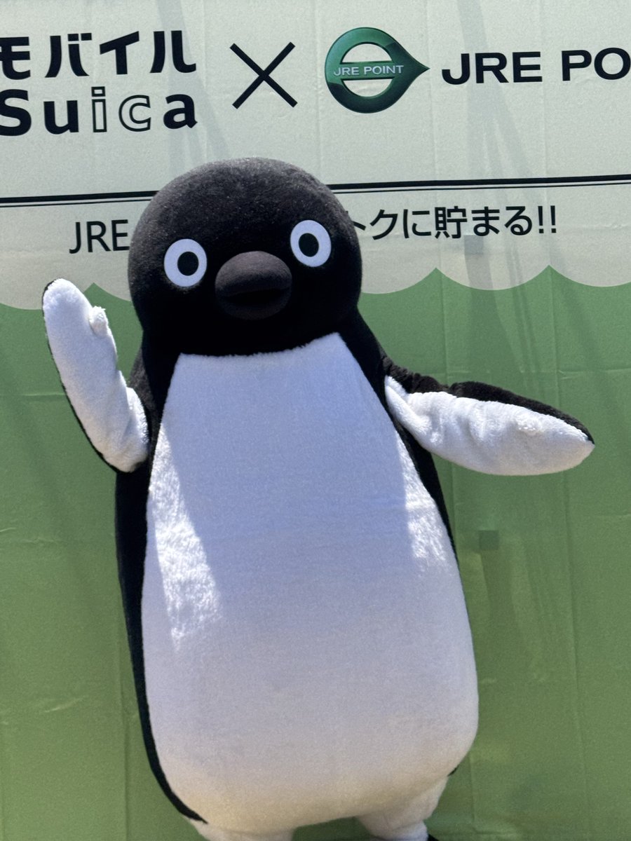 tori_s_h_rx7F's tweet photo. 新キャラ選考始まったけどSuicaはずっと
ペンギンがいい🥺🥺🐧 https://t.co/w4ixwiXKo1
