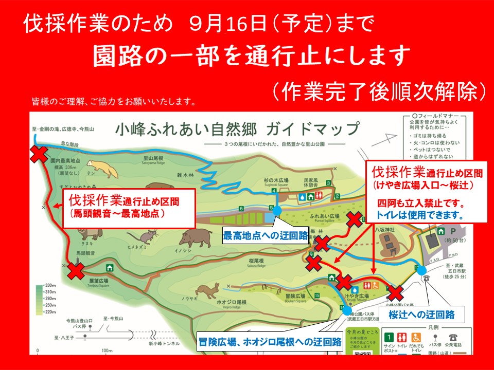 ParksKomine's tweet photo. 画像に示す２区間において、9月9日より16日まで #枯木伐採作業 を行いますので通行止めといたします。作業完了後、順次、通行止めを解除いたします。
皆様のご理解、ご協力をお願いいたします。
#小峰公園 https://t.co/NNwWcybjp7