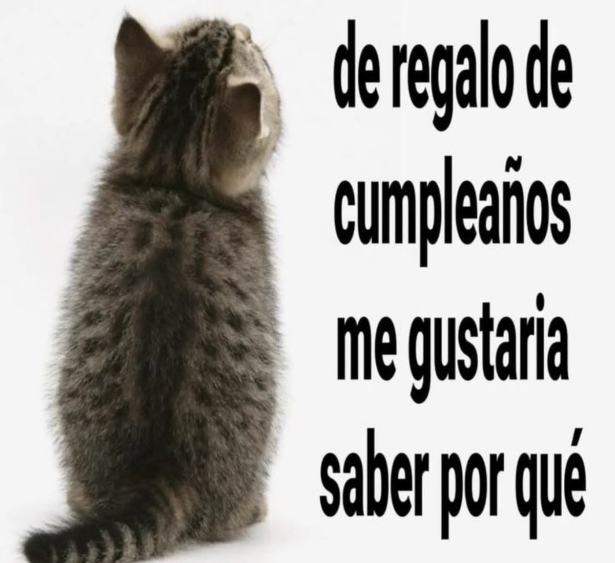 skereunpesado's tweet photo. https://t.co/iLI8IhfFA7