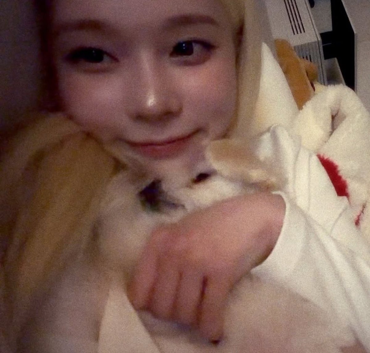 tippymibe's tweet photo. now why is she the cutest !! https://t.co/ActIz8b16v