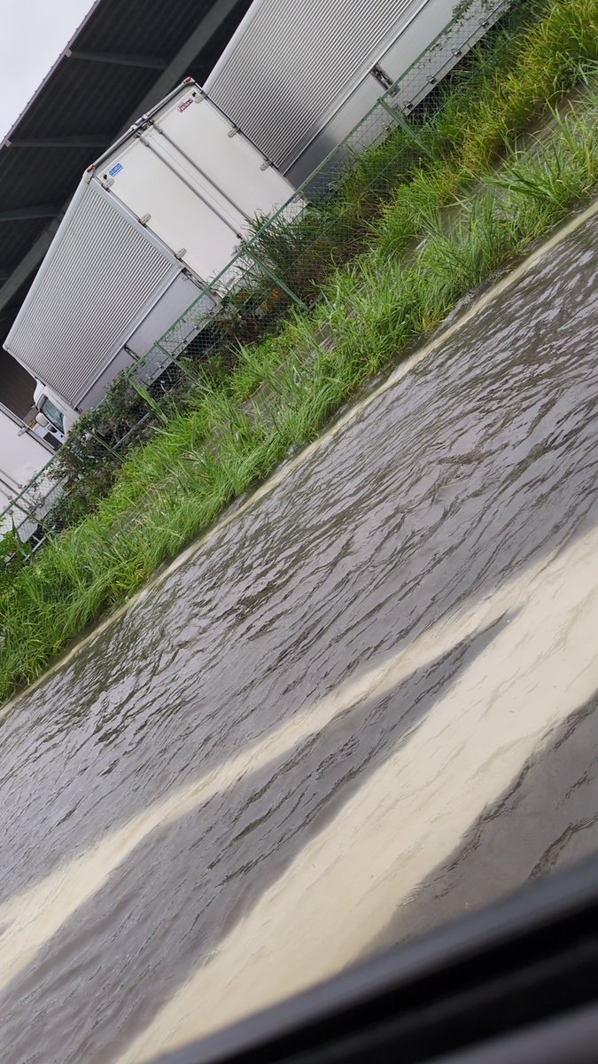 namjoonO10's tweet photo. 足首までの雨量

川氾濫中

ヤバイ⋯ https://t.co/7FRwbIWQEi