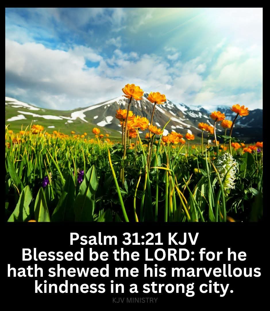 benkp88's tweet photo. #verseoftheday
#Psalms https://t.co/yV77c0iwYQ