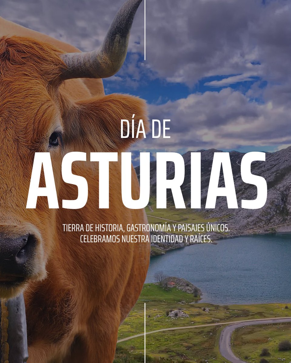 asincar's tweet photo. Una tierra de tradición, talento, industria, #innovación y productos que llevan a #Asturias más allá de nuestras fronteras 💙
🧡 Desde #ASINCAR, trabajamos impulsando el sector agroalimentario asturiano y construir juntos el futuro de nuestra industria.

✨ ¡Feliz #DíaDeAsturias! https://t.co/bPAXgUfS9M