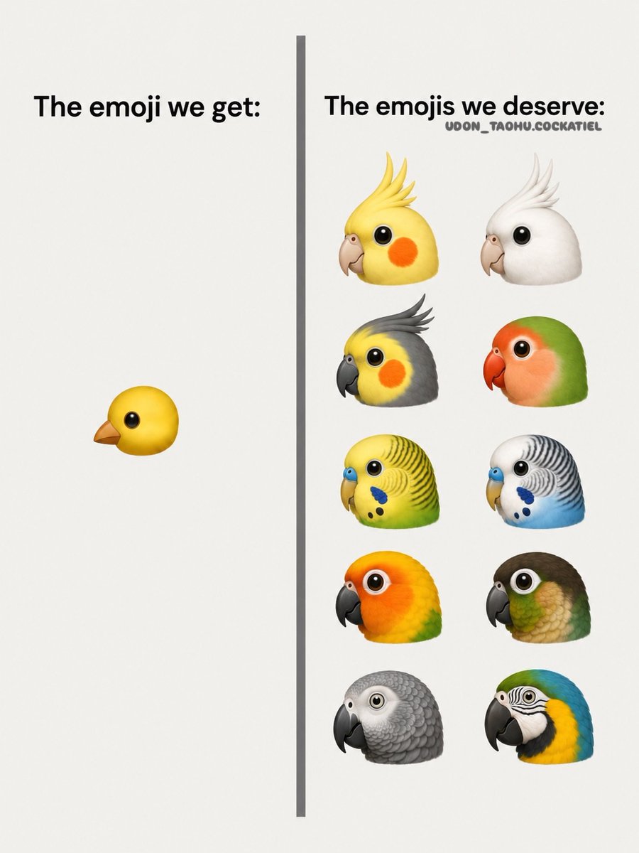 birdscolour56's tweet photo. The emoji we deserve! 🍜&amp; 🦜 https://t.co/N2w2bmZRIg