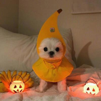 Kivalzh's tweet photo. 🌹 ��� 🧢 🪐 Just ate tacos for breakfast. No regrets https://t.co/FmRA2FUvvq