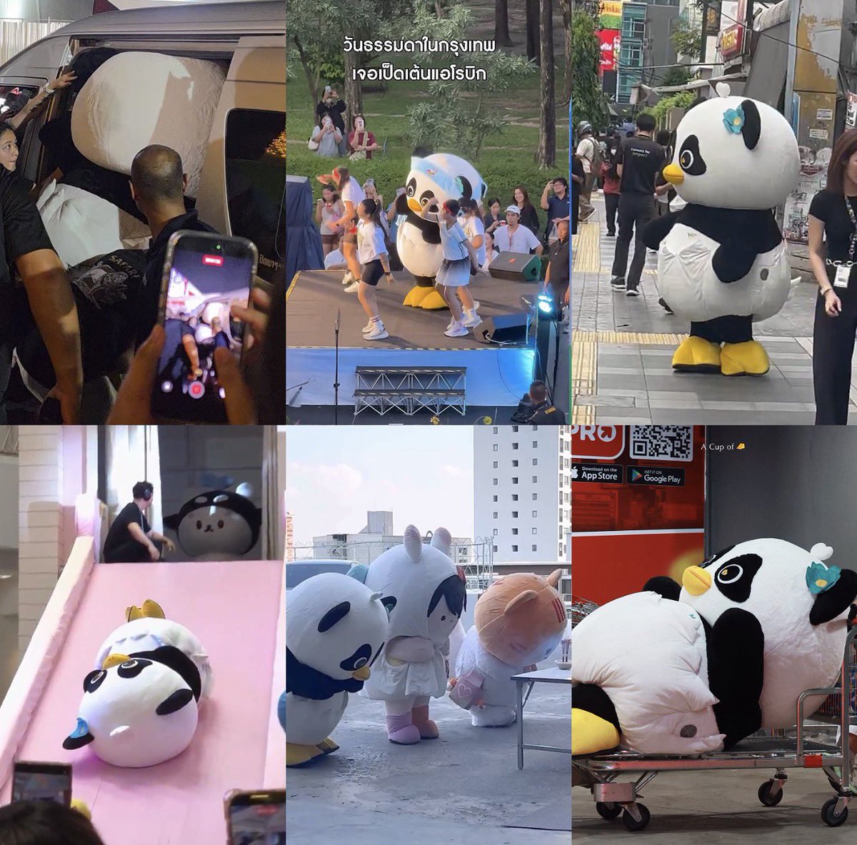 sspp2205's tweet photo. วันธรรมดาในกรุงเทพ คุณสามารถเจอ
- แพนด้าเป็ดกำลังขึ้นรถตู้
- แพนด้าเป็ดเต้นแอโรบิก
- แพนด้าเป็ดเดินหลงกับแม่บนทางเท้า
- แพนด้าเป็ดเล่นสไลเดอร์
- แพนด้าเป็ดกับเพื่อนกำลังไหว้เจ้า
- แพนด้าเป็ดนอนเล่นบนรถเข็นแมคโคร https://t.co/KEU8AYgN0Y