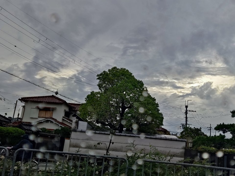 papa_kumo's tweet photo. 晴れ間も・・・・
#雲友の会
#イマソラ
#鉄塔ファン https://t.co/TlilGmhsSn