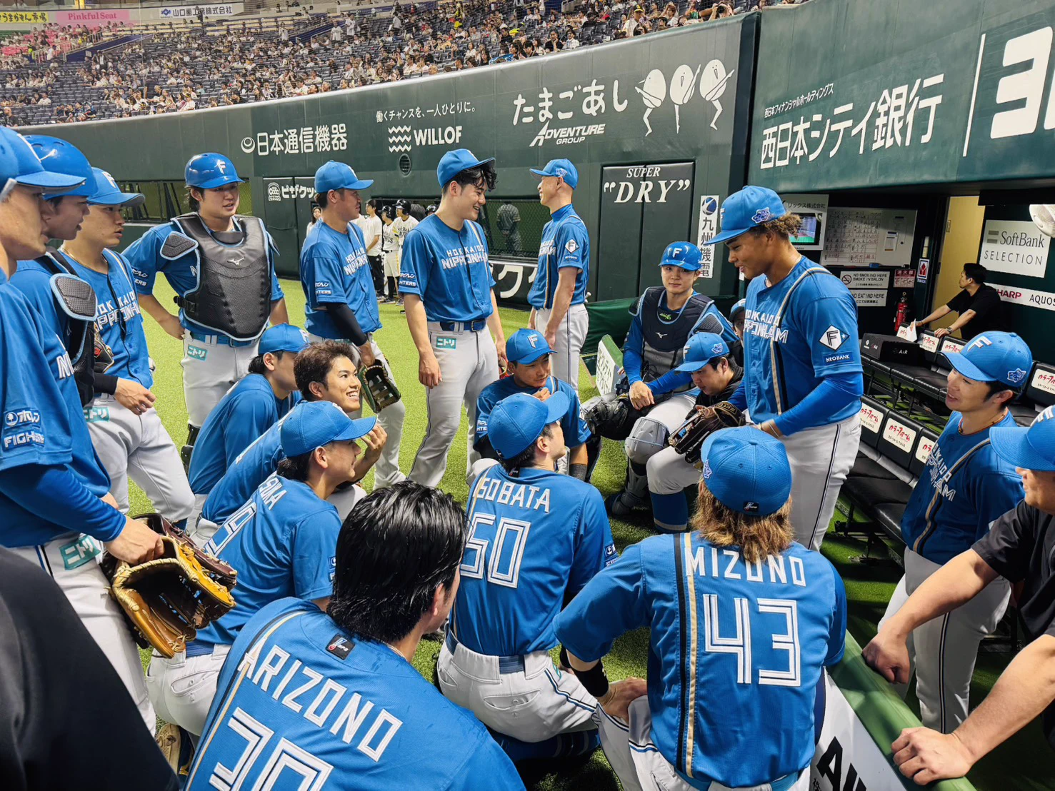 北海道日本ハムファイターズ公式 on X: 