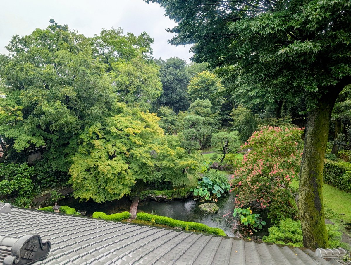 naoXs's tweet photo. 生憎の雨でしたが、比叡山が見える程度には雲も抜けていて、水も滴る良いお庭を拝見できました。 https://t.co/B67IHV7JHL