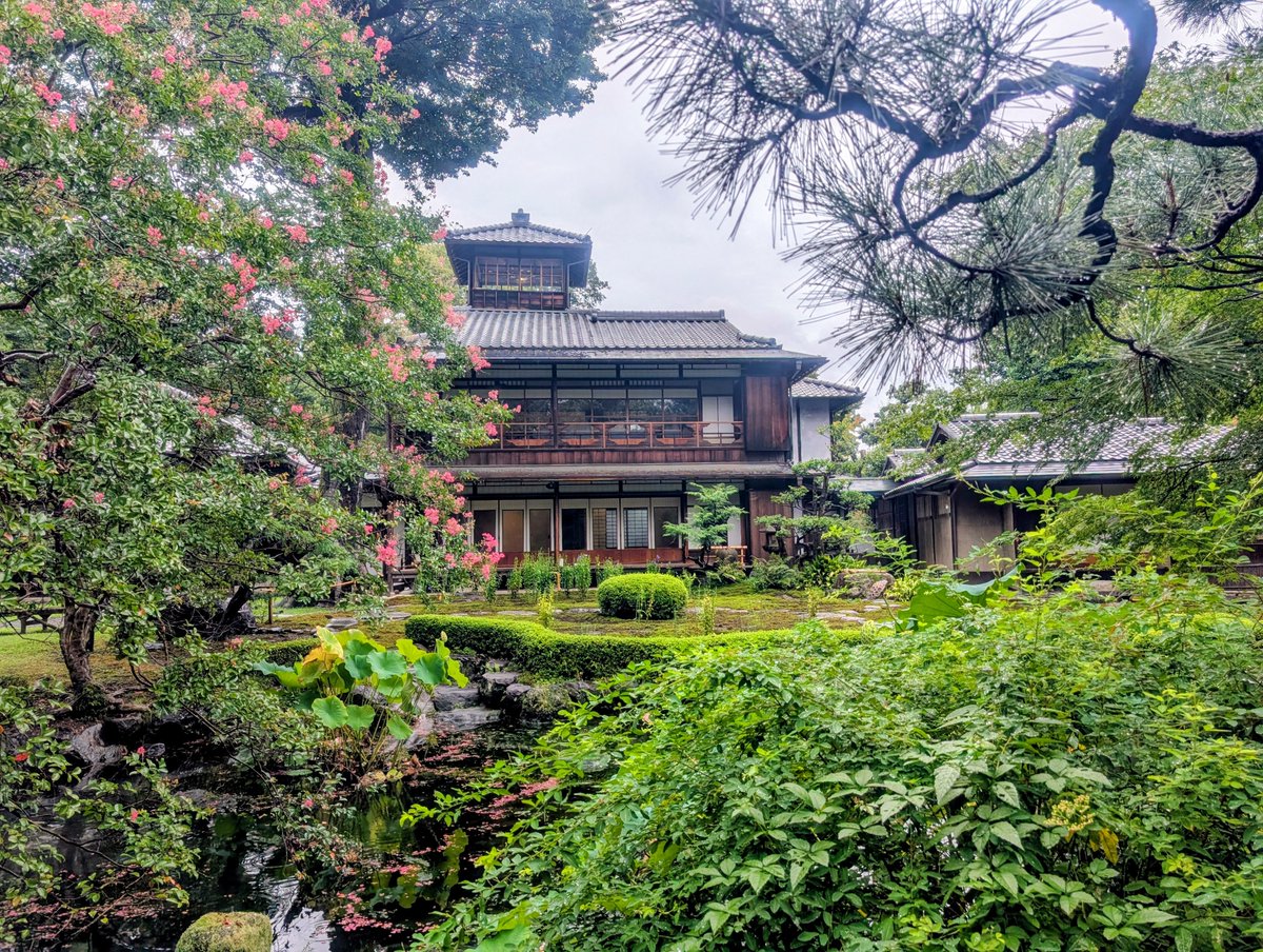 naoXs's tweet photo. 生憎の雨でしたが、比叡山が見える程度には雲も抜けていて、水も滴る良いお庭を拝見できました。 https://t.co/B67IHV7JHL