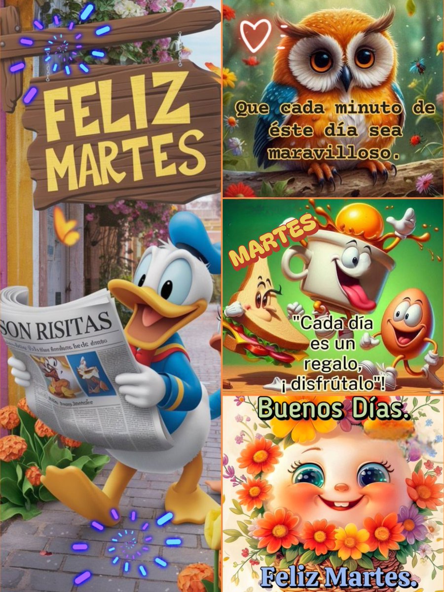 Olvido_07's tweet photo. 🌿🦜Excelente martes🌹♥️ https://t.co/DQ3UijT7B1