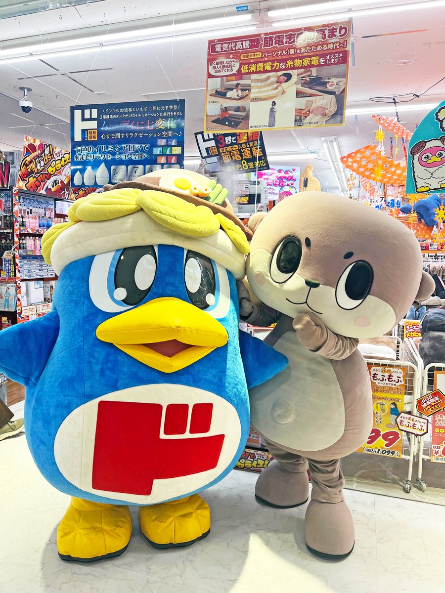 susaki_city_PR's tweet photo. ÒㅅÓ。)ﾉドンペンちゃんお誕生日おめでとー☆情熱価格なかんじの一年にしてね☆ね☆

#DONPENHBD2026 https://t.co/7duB0KFqXb