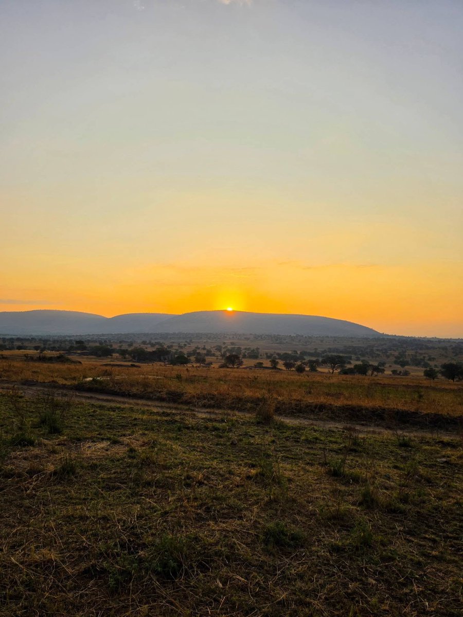 GuillermoGonz37's tweet photo. Good morning, Serengeti... https://t.co/3TTe0xJbjK