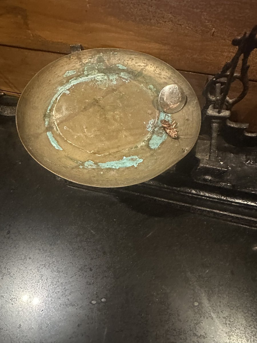 AbhilashTom2's tweet photo. @OutriggerResort Just want to highlight the quality and hygiene we got served in your main restaurant…. A dead cockroach placed right in line with the buffet breakfast https://t.co/WLHF7yzdCm
