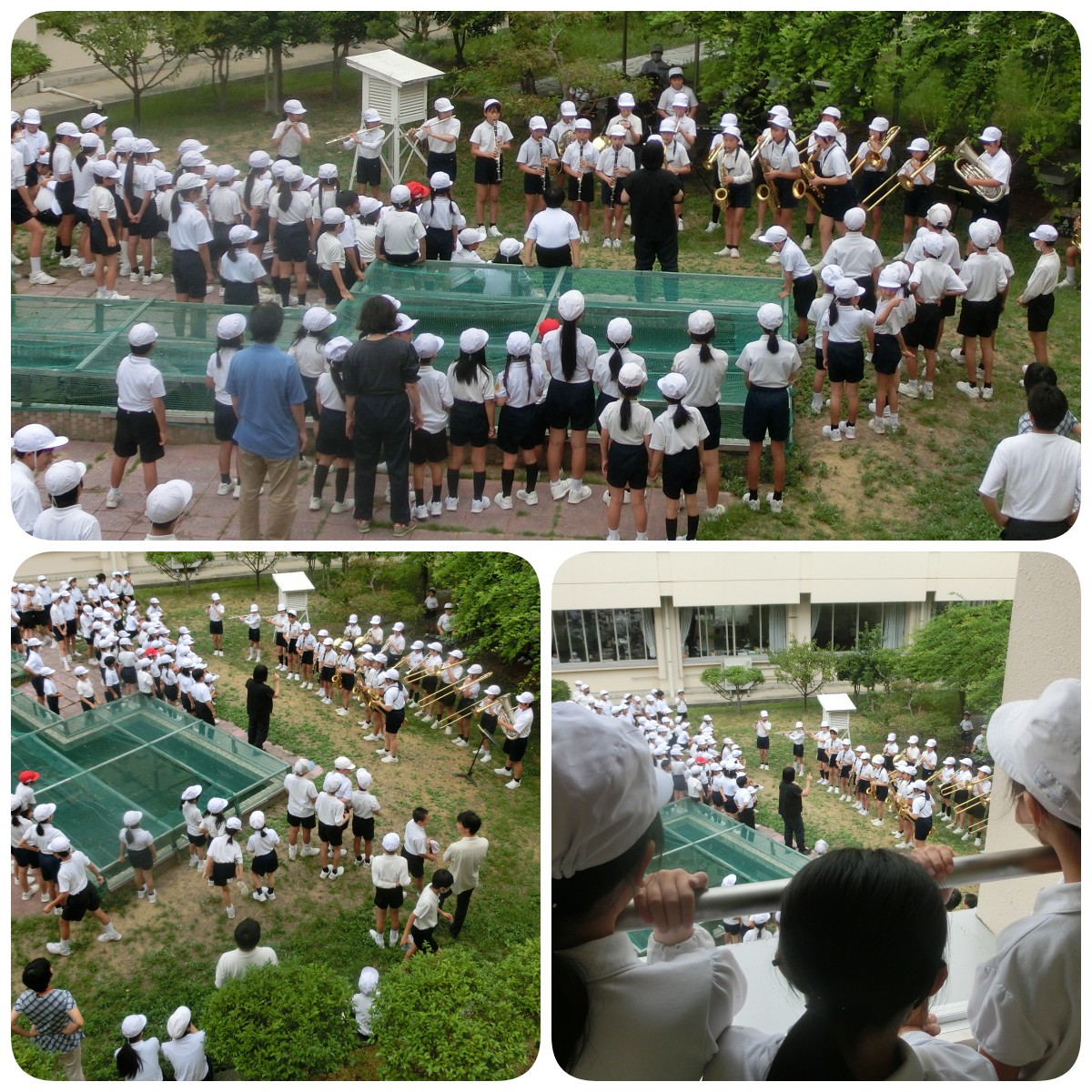 matuzakisyo's tweet photo. 吹奏楽部のメンバーが昼休みにミニコンサートを全校のために開催してくれました。多くの児童が中庭に集まり、迫力ある「松崎サウンド」を楽しみました。２階の窓や渡り廊下から鑑賞する姿もありました。今後は管楽器の体験会も計画されているようです。 https://t.co/FUJ16CK9ub