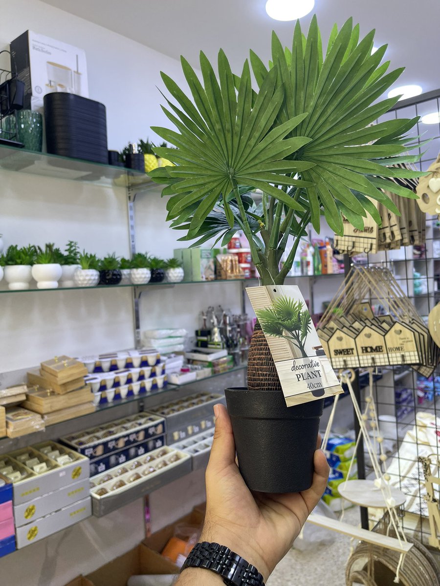 SHOPCOIN11's tweet photo. 🚨 $25 GIVEAWAY! 🚨

Can you guess the EXACT price of this product? 👀🪴

💰 WIN $25 CASH

To enter:
❤️ Like this post
🔁 Repos
➕ Follow us
💬 Comment your price guess

🏆 First correct guess wins $25!

This product is actually sold in our real store 🇯🇴
📸 Instagram: @yaseenco.jo

Real store. Real products. Real community.
$SHOP 🛒🔥

#SHOP #Solana #Giveaway #SHOPCOIN