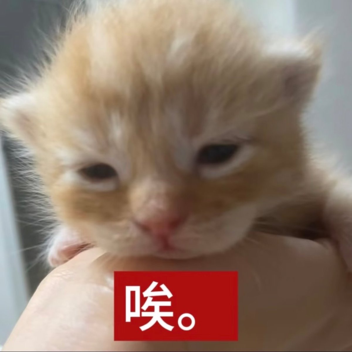 XDLGFJB's tweet photo. 除了谈恋爱 还有更安全的doi办法嘛 https://t.co/amBW387xfF