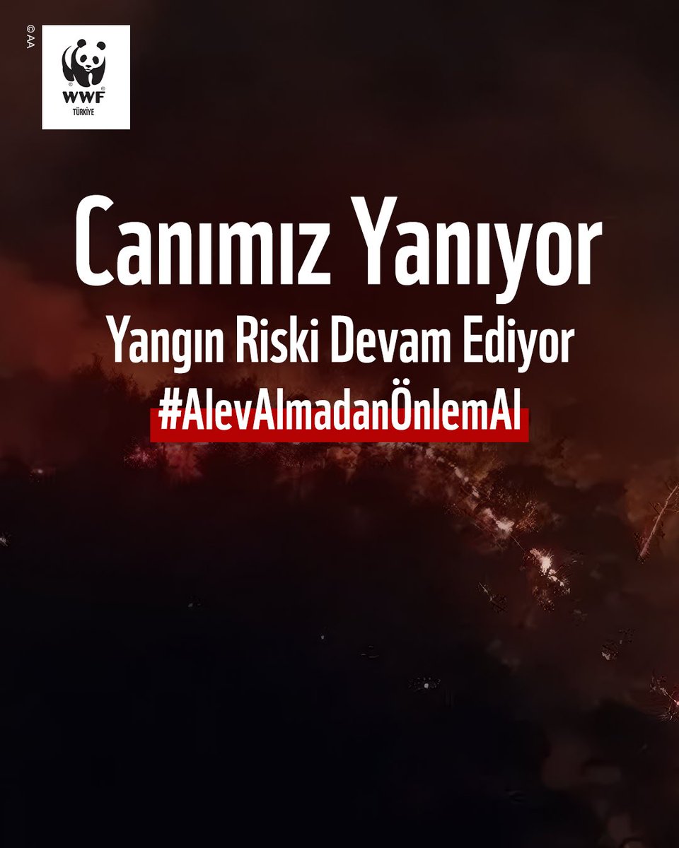 WWF_TURKIYE's tweet photo. Ormanlarımızla birlikte canımız da yanıyor. Antalya başta olmak üzere farklı illerimizden gelen yangın haberlerinin üzüntüsünü yaşıyoruz. Yangınlarla beraber yılların mirası ağaçları, ormanlardaki canlıları, geleceğimizin bir parçasını da yitiriyoruz.

🙏 Yangınlardan etkilenenlere geçmiş olsun dileklerimizi iletiyor; devam eden yangınların bir an önce kontrol altına alınmasını temenni ediyor; zorlu koşullarda canını ortaya koyarak mücadele eden tüm çalışanlara ve gönüllülere şükranlarımızı sunuyoruz.

🍂 Yaz bitse de yangın riski devam ediyor.

⚠️ Orman yangınlarının yaklaşık yüzde 90’ı insan kaynaklı sebeplerle çıkıyor.

❗ Sıcak hava, düşük nem ve rüzgar gibi koşullarda en ufak bir ihmal bile büyük yangınlara dönüşüyor. Bu ihmal bazen eğlence için yakılan bir ateş, düşüncesizce yola atılan bir izmarit olabiliyor.

❗️Orman yangınlarını önlemenin en etkili yolu, ilk kıvılcım çıkmadan bilinçli davranmak ve önlem almak.

📞 Herhangi bir elektrik arızası ya da yangın tehlikesi fark ettiğinizde derhal 112'yi arayın!

🌍 İklim değişikliğiyle birlikte yükselen sıcaklıklar, uzun süren kuraklıklar ve daha sık yaşanan sıcak hava dalgaları, bitki örtüsünü daha yanıcı hale getirerek yangınların hem çıkma hem de hızla yayılma riskini artırıyor. İklim değişikliğinin temelinde ise fosil yakıt kullanımı başta olmak üzere insan kaynaklı faaliyetler yer alıyor.

🔗 Orman yangınlarına karşı alınabilecek önlemlerle ilgili detaylı bilgi için bağlantıyı ziyaret edebilirsiniz: 

https://t.co/iazsDCHqDP

#AlevAlmadanÖnlemAl