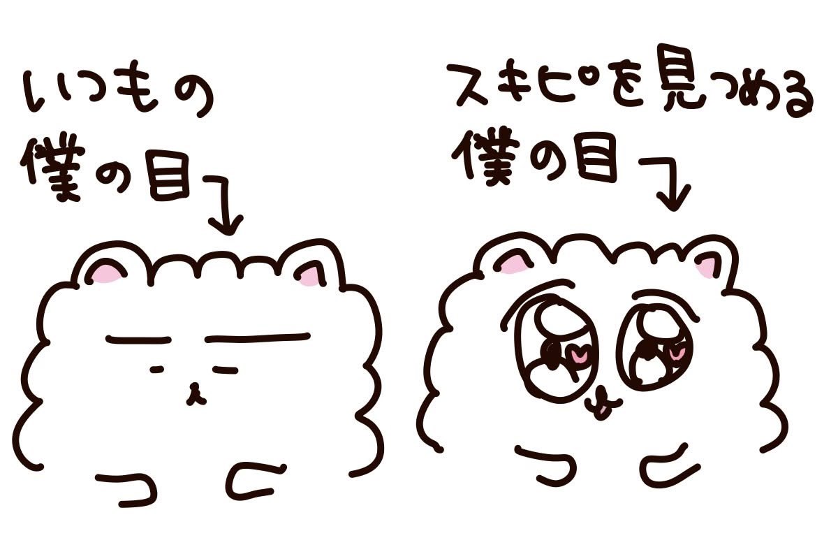 inyahearts2's tweet photo. まじで🐱ちゃん(伊)を見る時の私これ。一段と私が輝きます＞ꇴ＜✌🏻ｗｗｗ目ガン開きでスマホに食らいつくもんね(∩ ᵔ⩊ᵔ )⊃⭐︎➰ https://t.co/L3GEeczkmt