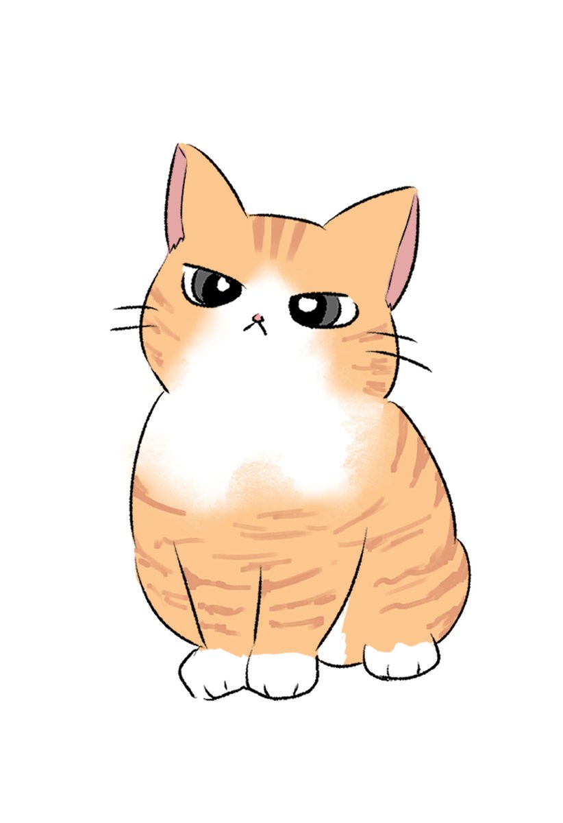 i_nrdd's tweet photo. 노냥이 https://t.co/Jpb9k4wPdg