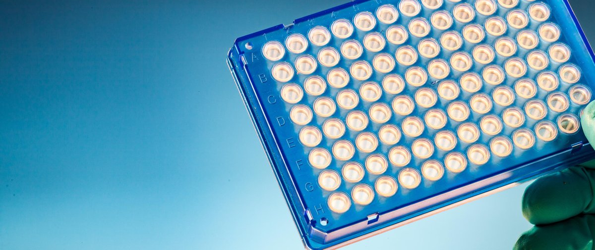 AmerigoScienti1's tweet photo. Looking for a faster, simpler alternative to traditional PCR for pathogen detection? Check out the Pathogen Nucleic Acid Rapid Detection Kits based on RAA Technology from Amerigo Scientific! https://t.co/2urJrUKLo0 https://t.co/ZVuTMrJZ1k