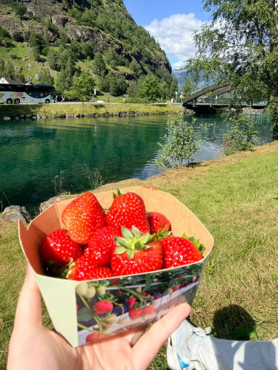 DOMANEPUMPkin's tweet photo. 🇳🇴 https://t.co/Hzd7N6vmOq