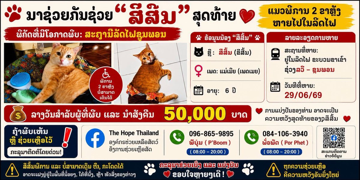 2themoon143's tweet photo. ช่วยกันแชร์หน่อยนะคะ อย่าให้ #แมวหายบนรถไฟ เงียบหายไป
แม้เวลาจะผ่านไป 2 เดือนกว่าแล้ว มีเบาะแสเข้ามาหลากหลายช่องทาง ทีมงานก็ตามไปค้นหาตามสถานที่ต่างๆ เกือบหมดแล้ว แต่ก็ยังไม่เจอน้องสีส้ม 
หากใครมีเบาะแสเพิ่มเติม ติดต่อทีมงานมาได้เลยนะคะ 

ขอบคุณรูปภาพจาก fb ลูกชุบ สุฑารัตน์ สิงหะกุลพิทักษ์