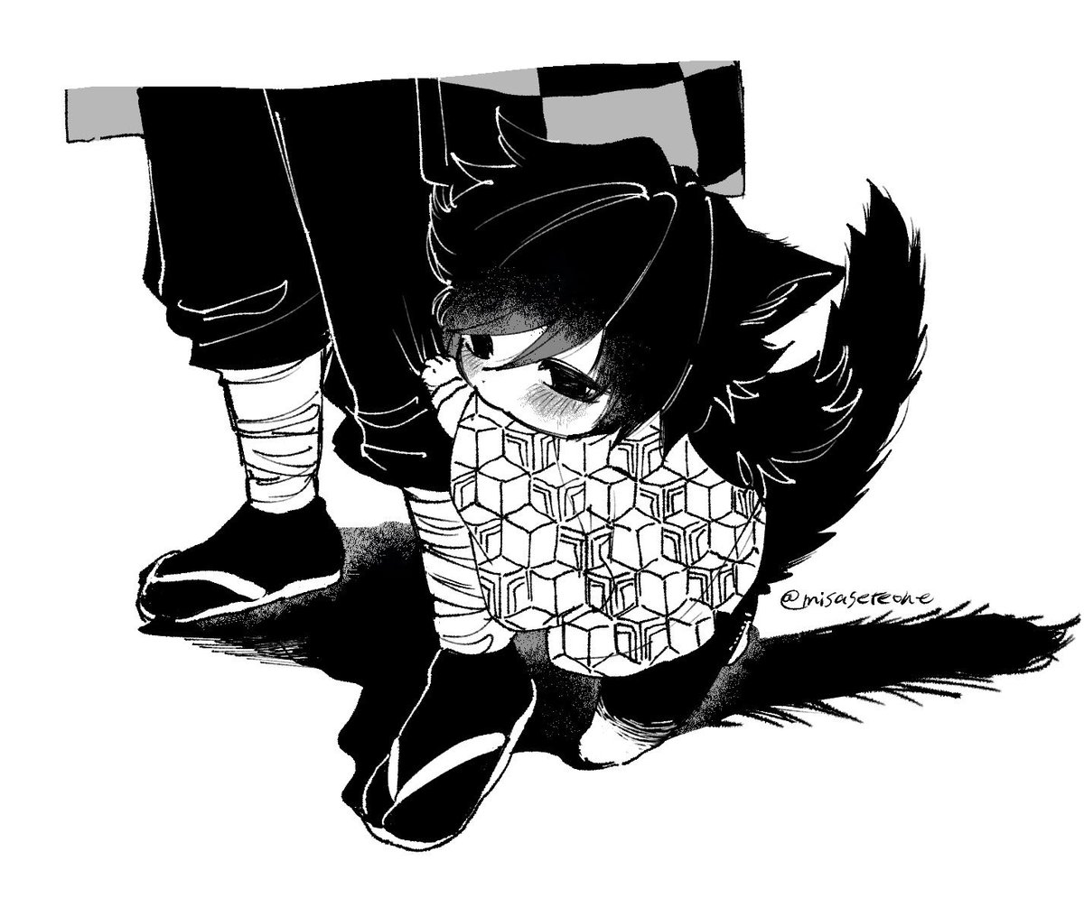 misaseteone's tweet photo. 一番見てもろたねこぎゆ https://t.co/fi7t1vWbQC