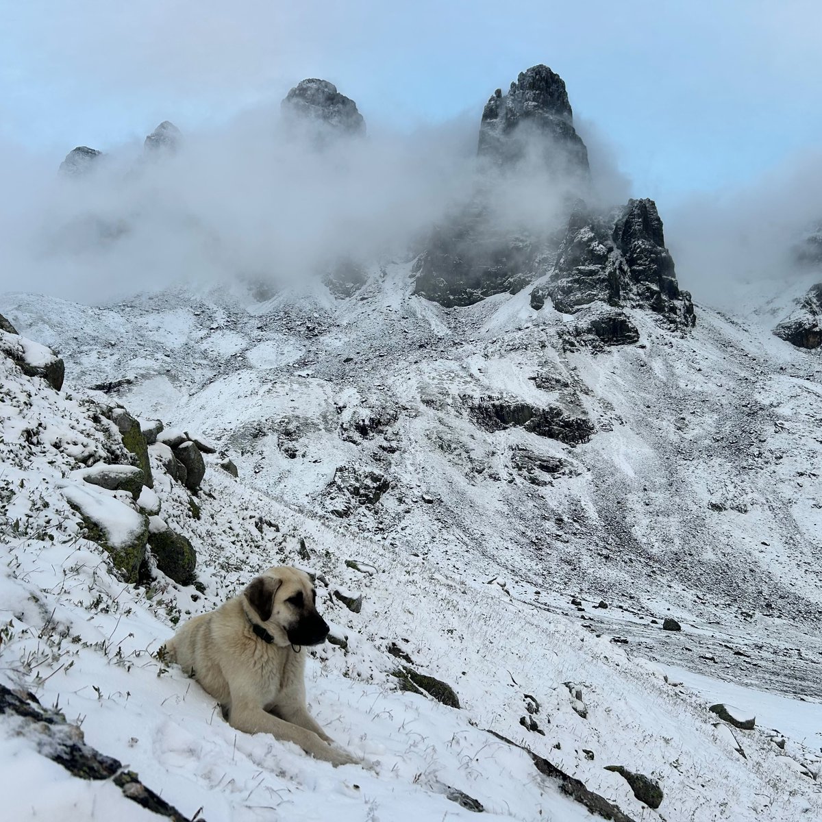 gztcom's tweet photo. ❄️Rize'de Kaçkar Dağları beyaza büründü https://t.co/u9HJzgbTWi