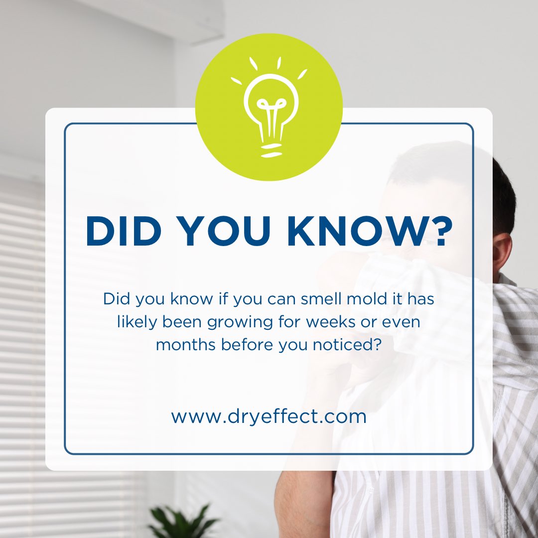 DryEffect's tweet photo. If you can smell mold it has been growing for weeks or months.

Your nose is the last thing to find out.

Free inspection. 📞 513-763-2121

#DidYouKnow #MoldRemoval #Cincinnati #DryEffect https://t.co/1X6xoYK14D