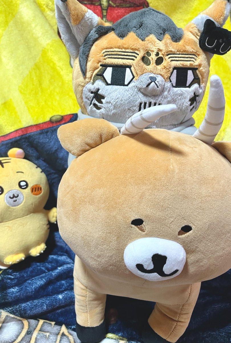 shikibuton4's tweet photo. インパラがうちに来た（汚部屋隠し尾ブランケット）（申し訳程度の虎）（もみくちゃにしているためボサボサのポゼオ）（ポゼオが重くてひしゃげているインパラの足）（キュートすぎるにゃんぱいあクリップ） https://t.co/n7DQlaiVro