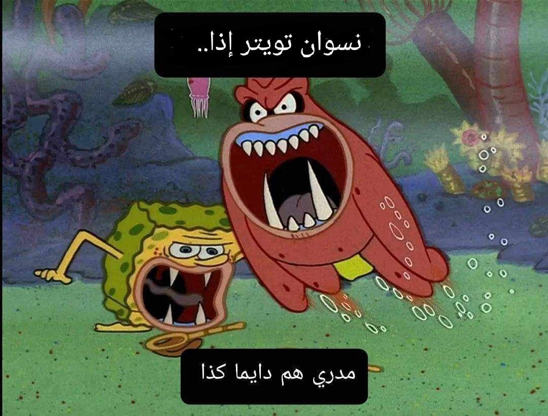 sstmkldge's tweet photo. والله شوية صبهيومانز فعلا الرجالة كان عندها بعد نظر لما قرروا يقمعوكوا من بداية التاريخ لحد دلوقتي https://t.co/tdK7L6xYN6